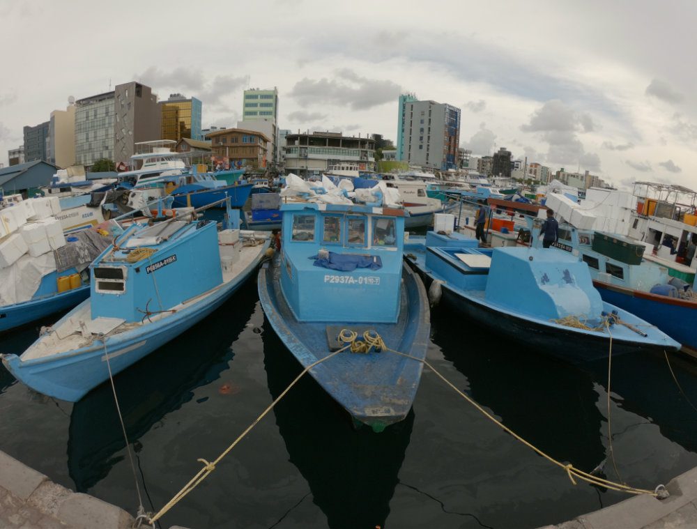 In questa foto si vede uno scorcio di Malè, capitale della Maldive.