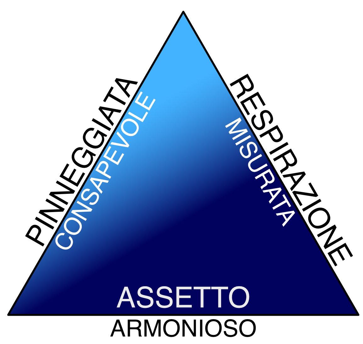 il “triangolo delle abilità” è composto da tre competenze strettamente interconnesse tra loro: un assetto armonioso, una pinneggiata consapevole e una respirazione misurata.