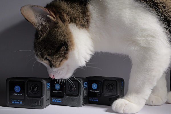 Attrezzatura video subacquea GoPro Hero 11, 12 e 13