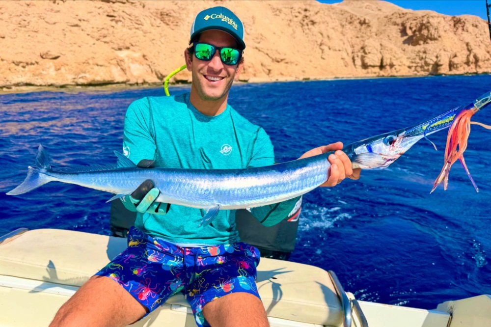 in questa foto di vede un aguglia coccodrillo pescata nel Sinai.