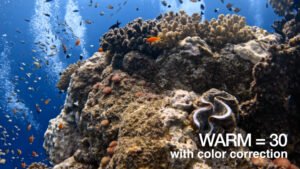 Qui si vede una ripresa fatta con WARM 30 e successiva color correction.