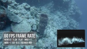 Questa ripresa è stata fatta in profondità con un frame rate di 60 fps.