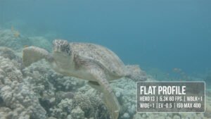 In questo video si vede il Flickering prodotto dalla ripresa con profilo Flat.