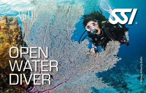 In questa foto si vede il Brevetto Open Water Diver SSI.