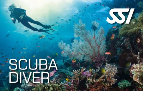 In questa foto si vede il Brevetto Scuba Diver SSI