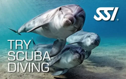 In questa foto si vede il brevettoTry Scuba Diving SSI.